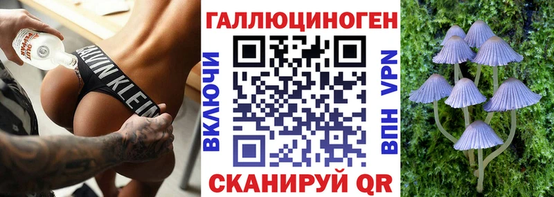 Галлюциногенные грибы Psilocybe  как найти   Короча 